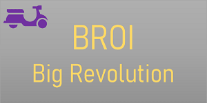 BROI Big Revolution Franchise Logo