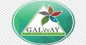 Galway Franchise Logo