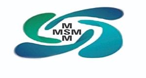 MSM Pickle Franchise Logo