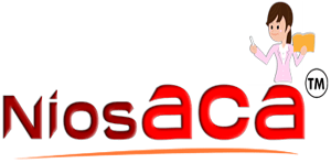 Niosaca Franchise Logo