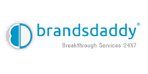 Brandsdaddy Franchise Logo